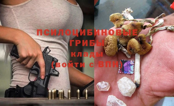 бошки Володарск