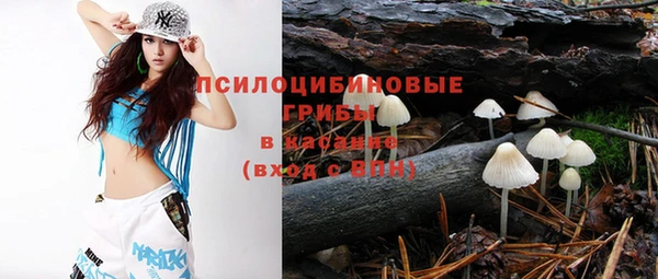 МДПВ Волосово