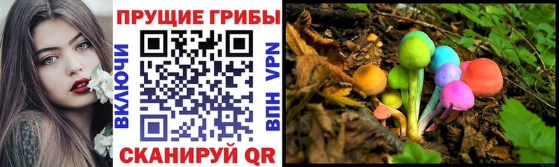 Галлюциногенные грибы мицелий  Купить закладки  Валуйки 
